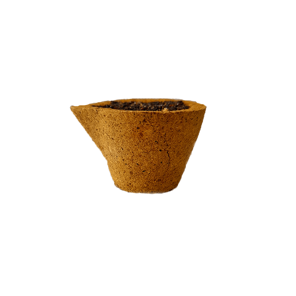 Aastha Dashang Sambrani Dhoop Cup