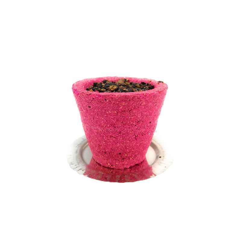 Aastha Rose Sambrani Dhoop Cup