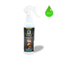 Aastha Royal Gold Touch Guggul Air Freshener Spray
